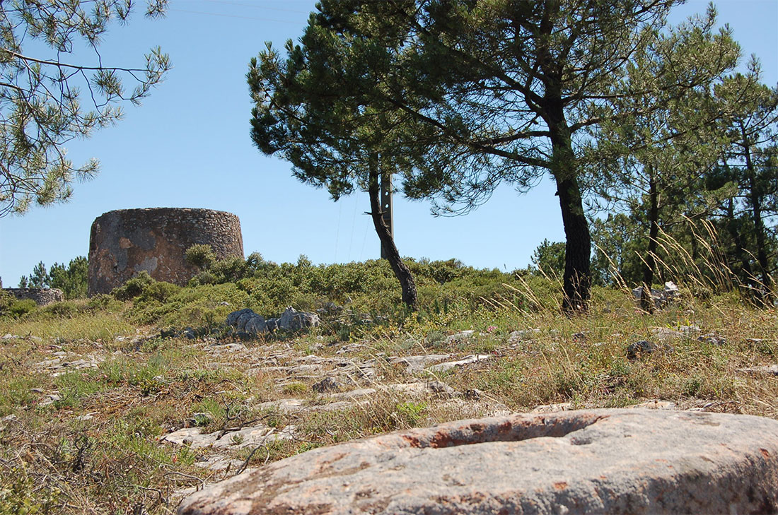 Mercado Freguesia de Fátima