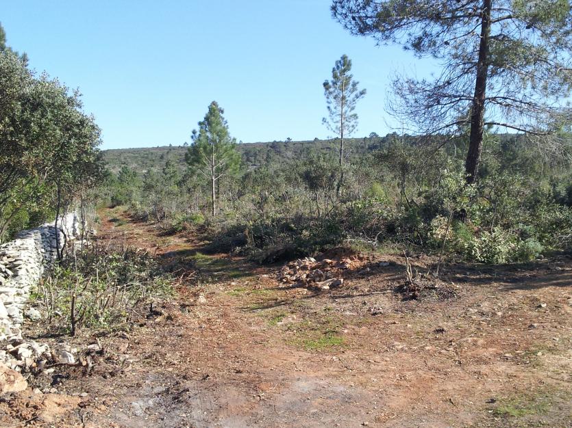 Edital 3/2017 - Correção de desafetação de caminho 