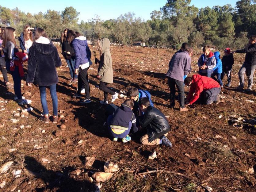 Junta de Freguesia promove ação de reflorestação