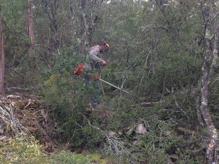 Ação de Esclarecimento - Defesa da Floresta Contra Incêndios 