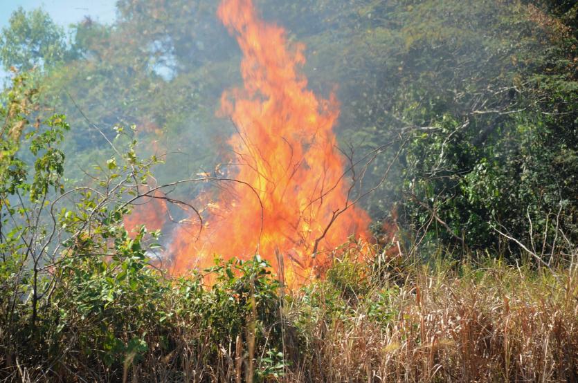 Queimas e Queimadas devem ser comunicadas à Autarquia