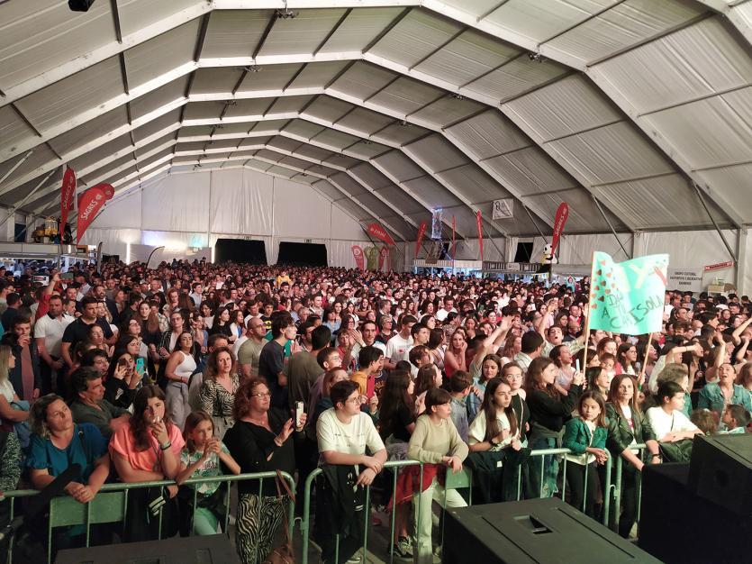 Procedimento concursal publicitário para o Festival da Paz 2023