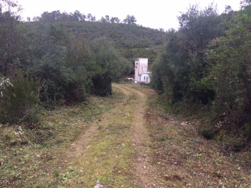 Abertura e limpeza de caminhos