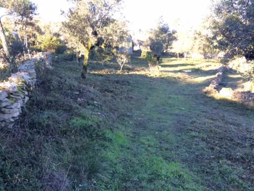 Edital - Desafetação do domínio público das parcelas de terreno e caminhos vicinais 