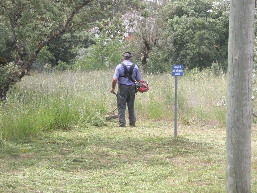 Abertura de procedimento concursal - Assistente Operacional 