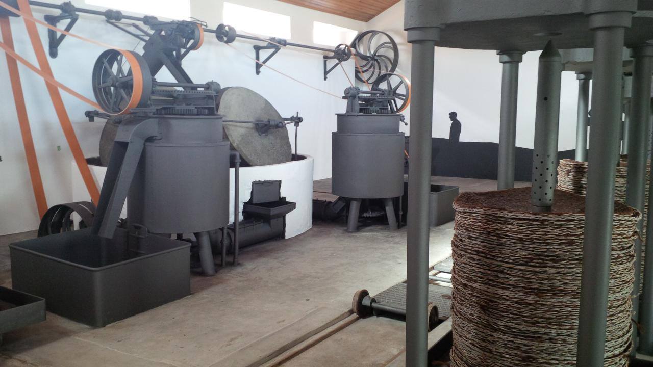 Mercado Freguesia de Fátima