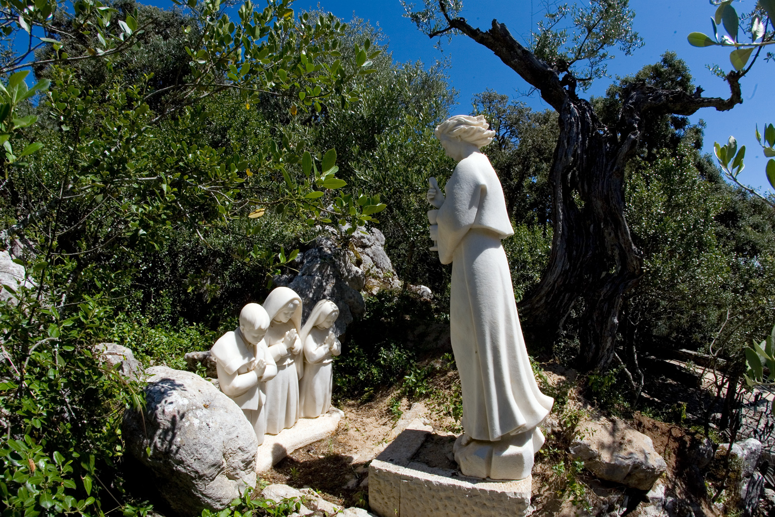 Mercado Freguesia de Fátima